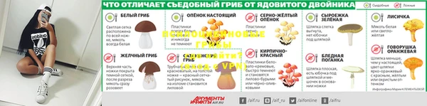 МДПВ Белокуриха