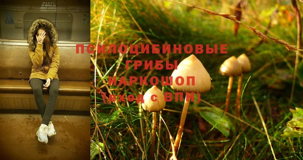 spice Белоозёрский