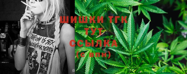 молекула духа Богородицк
