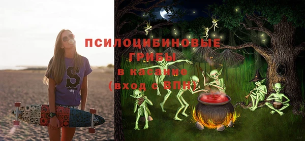 шишки Бугульма