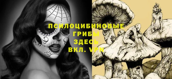 МДПВ Белокуриха