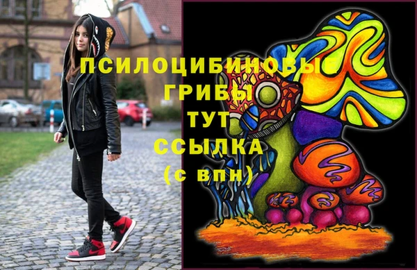 гашик Беломорск