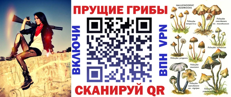 дарнет шоп  Белая Калитва  Псилоцибиновые грибы Psilocybine cubensis 